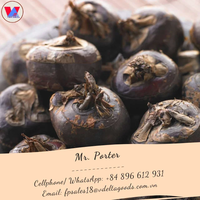 Natural Export Standard Water Chestnut Powder/ Water Chestnut Flour Use for Food Factory  / Holiday