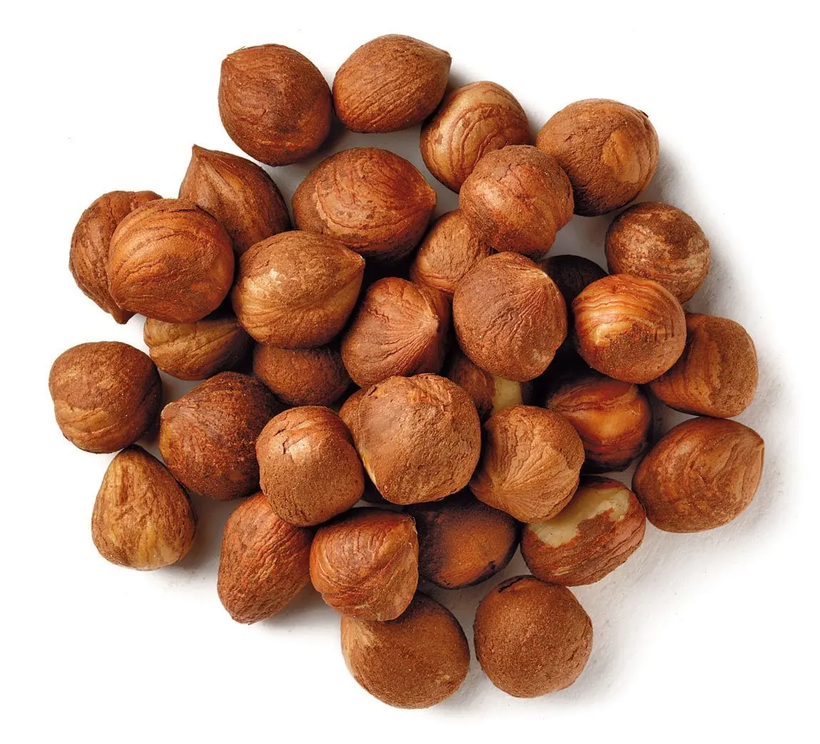 Raw Hazelnuts in Shell Raw Roasted Natural Style Packaging Food Natural Best Price Wholesale From USA