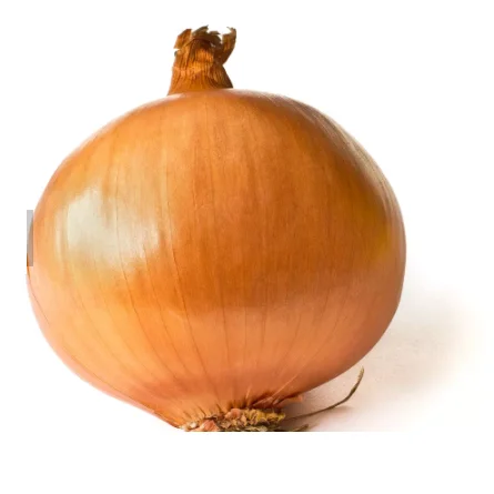 0700 (1).png