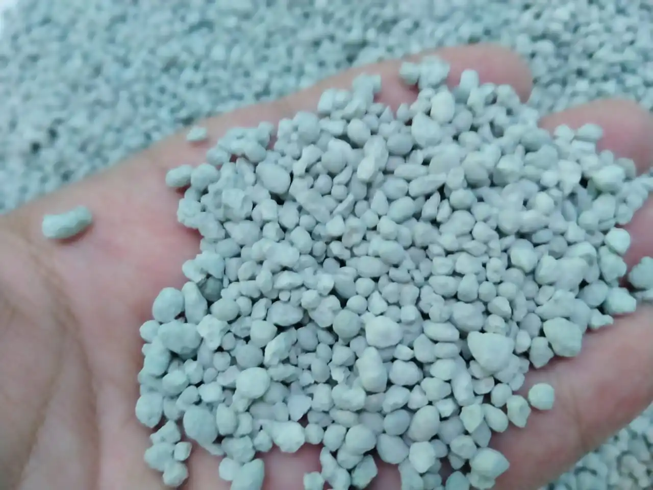 Low Priced Granular Single Superphosphate (SSP) Fertilizer
