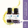 Clear, yellow and easy flowing transparent liquid