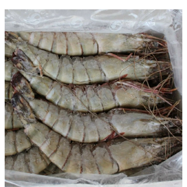 Shrimp Frozen Vannamei Frozen Shrimp Seafood Black Tiger Vannamei Shrimp Price Frozen Prawns