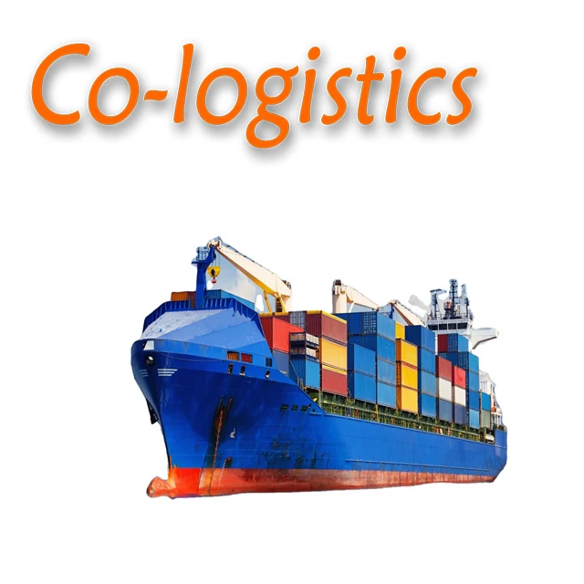 Sea Container 40ft Sea Shipping to France by MSC From China Shanghai Ningbo Xiamen Shenzhen Sea Freight Forwarder