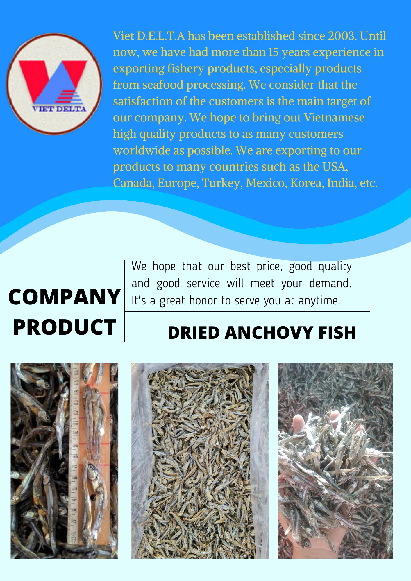 Whole Bulk Dried Anchovy Fish/ Hot Deal 2022 Buy Dried Anchovies