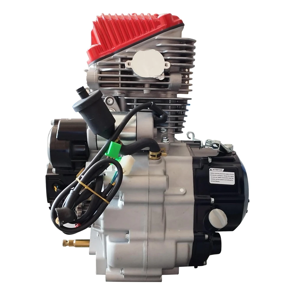Baja　DDMエンジン　未使用 28 HP ZS175FMN 300cc Motorcycle Engine - Balance Shaft