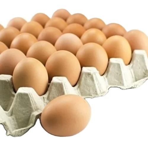 Broiler And Layer Fertile Eggs Buy Wholesale Price Supplier Fresh