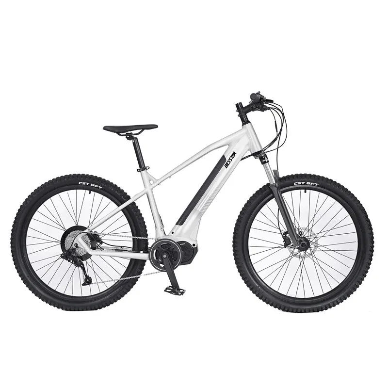 Electric Bike For Women And Men Mtb Electric Bike Beautiful Design 350w