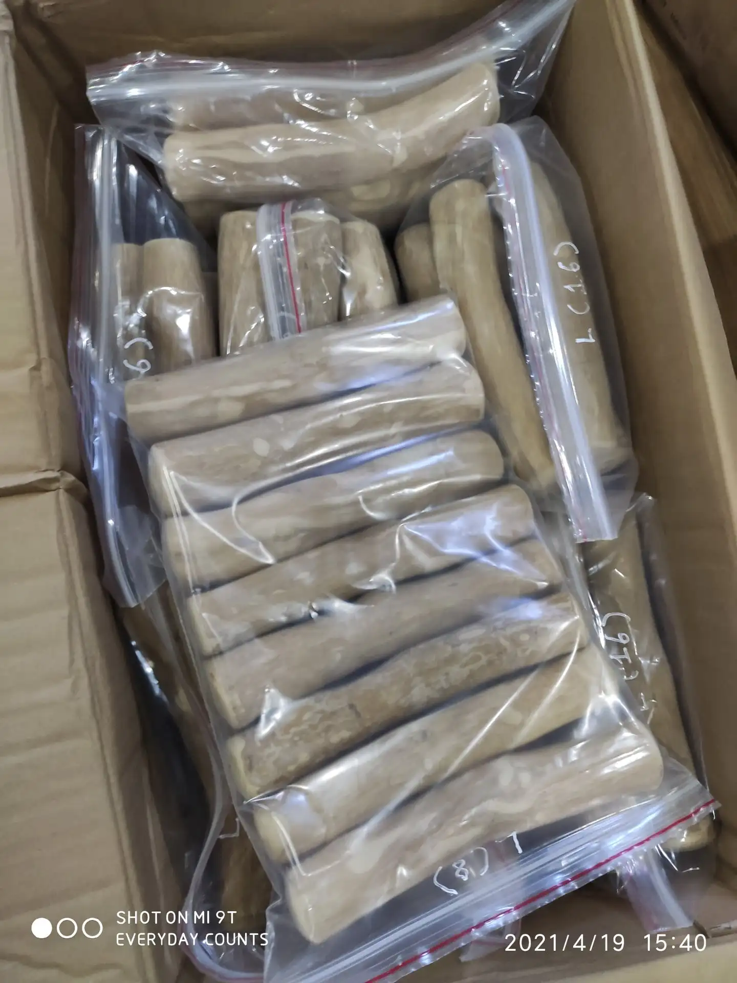 Hot Sale 2023 I 100 Natural Coffee Wood Dog Chew Toys Sticks Made In