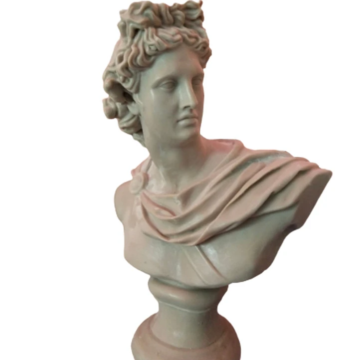 Outdoor Life Size Statue 50cm Height The Bust Of Apolo Statue Head