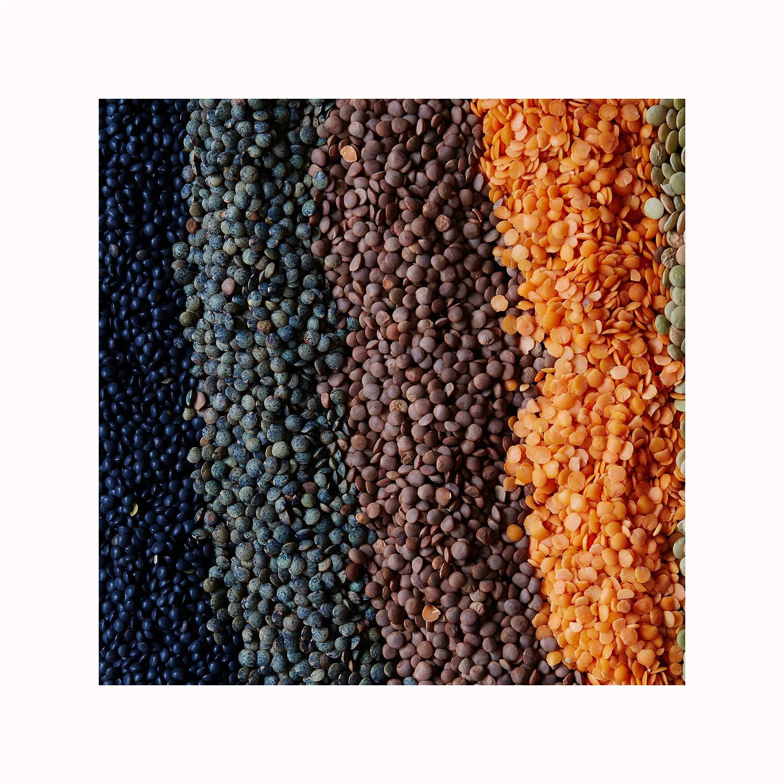 Bulk Red Lentils/ Canadian Red Lentils/ Buy Now Red Lentils - Buy Hot