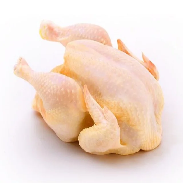 Good Grade Halal Frozen Chicken Whole Clean Fresh Low Price Buy Now Premium Quality in Stock Wholesale Fast Delivery for Sale