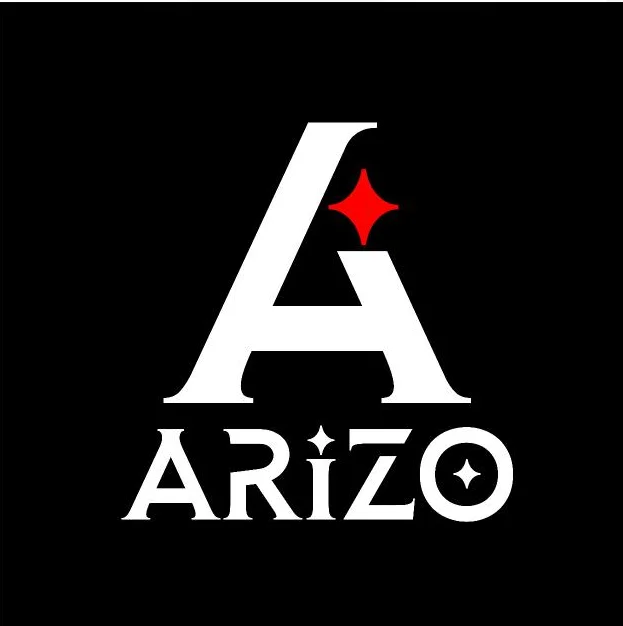 Company Overview - ARIZO INTERNATIONAL