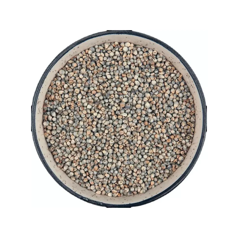 100 Dried Whole Millets Grains For Animal Feed Food Grade Organic