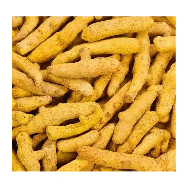 Turmeric Finger Dried/dried Yellow Turmeric/turmeric Finger - Buy ...