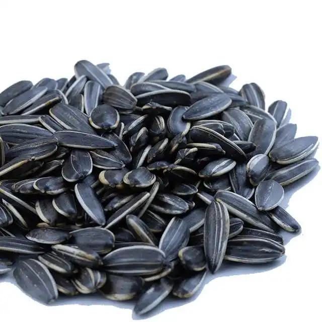 High Quality Sunflower Seeds From Our Farms And Under Our Supervision ...