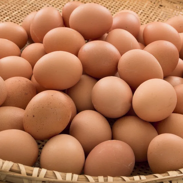Fresh Chicken Table Eggs & Fertilized Hatching Eggs Buy Fresh Eggs