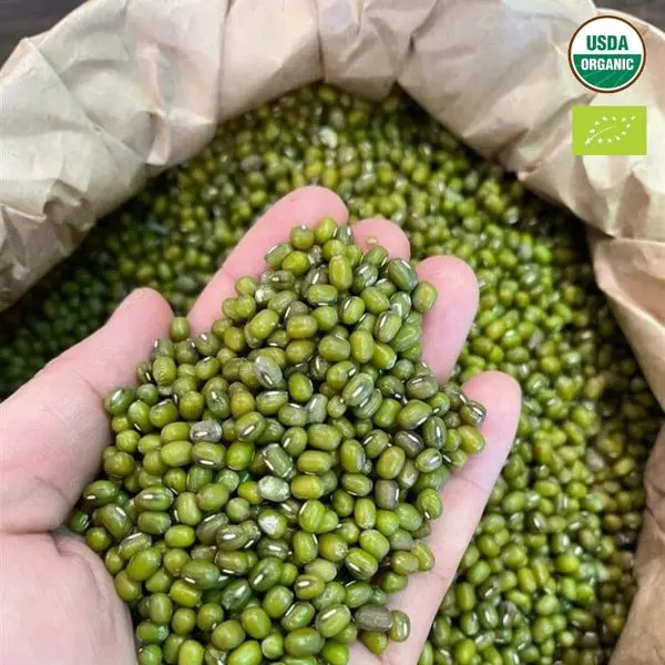Премиум MOONG BEANS зеленый сделанный во Вьетнаме // хорошее качество для приготовления пищи Лучшая цена вас