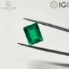 Sin certificación IGI