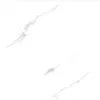 Calacatta Stone