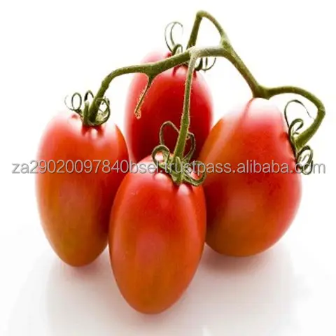Fresh-Plum-Tomatoes (3).jpg