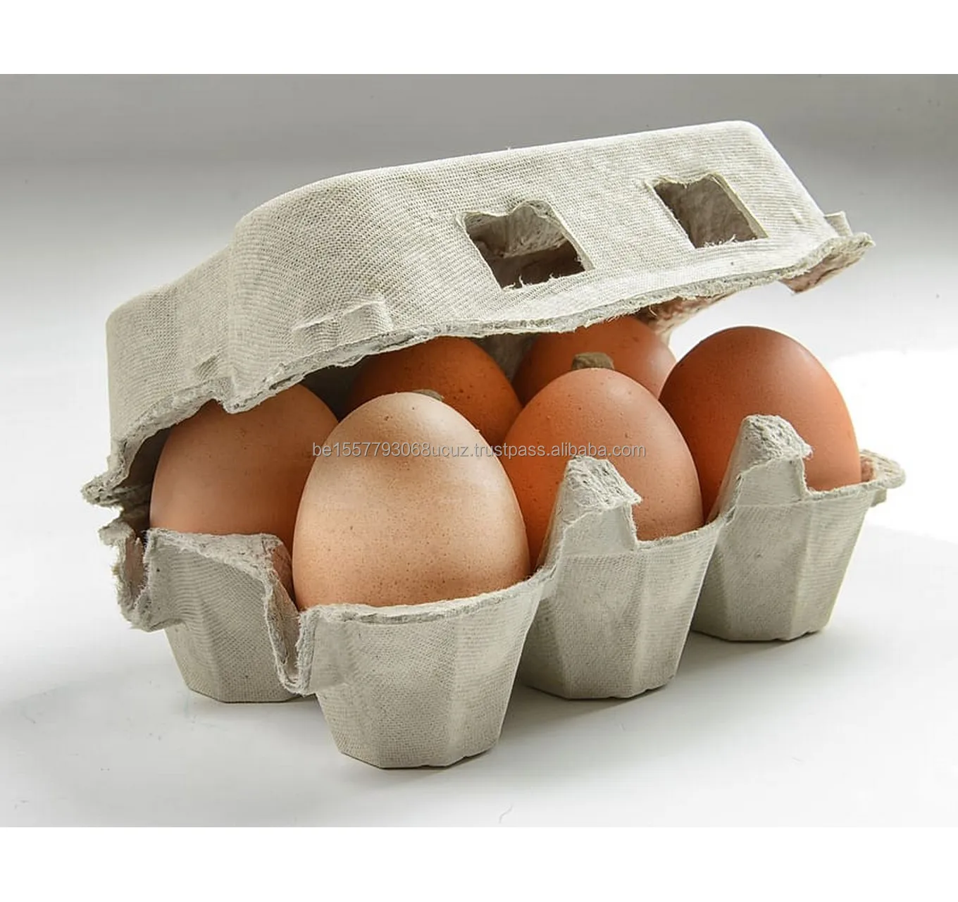 Fresh Chicken Eggs / Round Table Eggs For Sale / Fertile Hatching Eggs Buy Organic Fresh