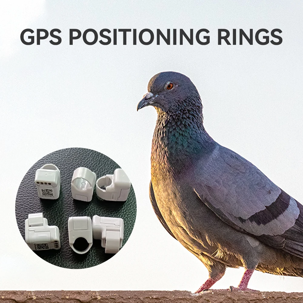 Waterproof Gps Real Time Tracking Pigeon Tracker Ring for Racing Pigeon Training