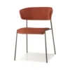 Black Nickel-Effect Frame - Terracotta Velvet