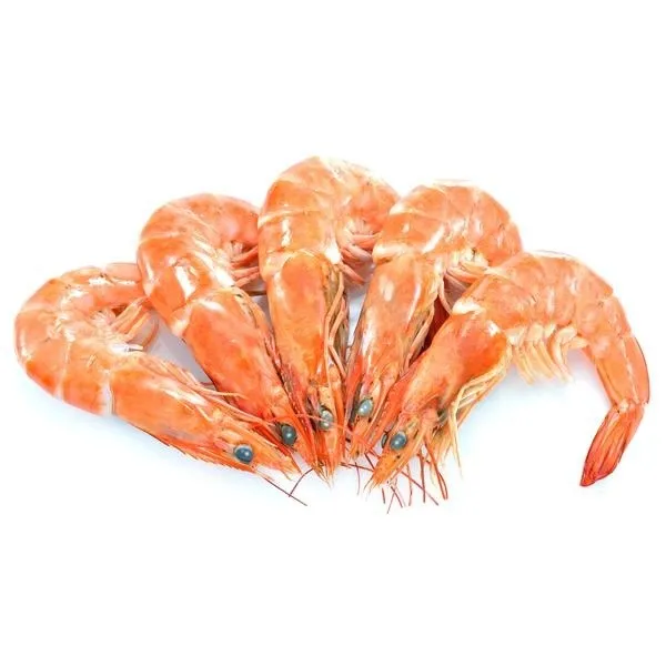 Fresh Frozen Prawn/natural Wild Red Shrimp Buy Frozen Red Shrimps