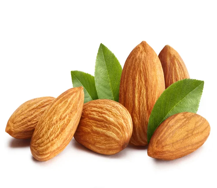 Wholesale Price High Quality Almond almond nuts 1 kg california almond