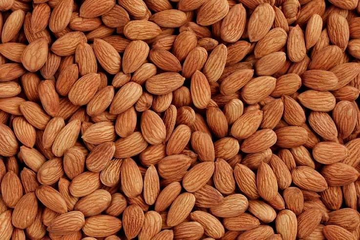 almond5.jpg