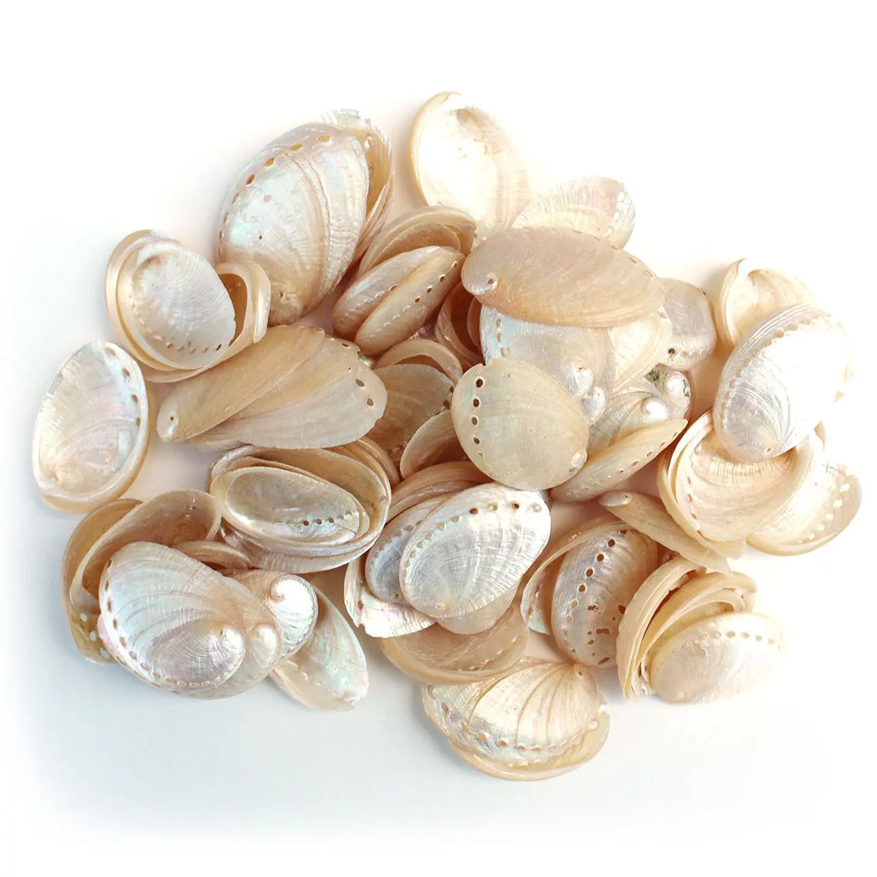 lawyer ben（中國律師）'s Video on X, image size:1280x1280