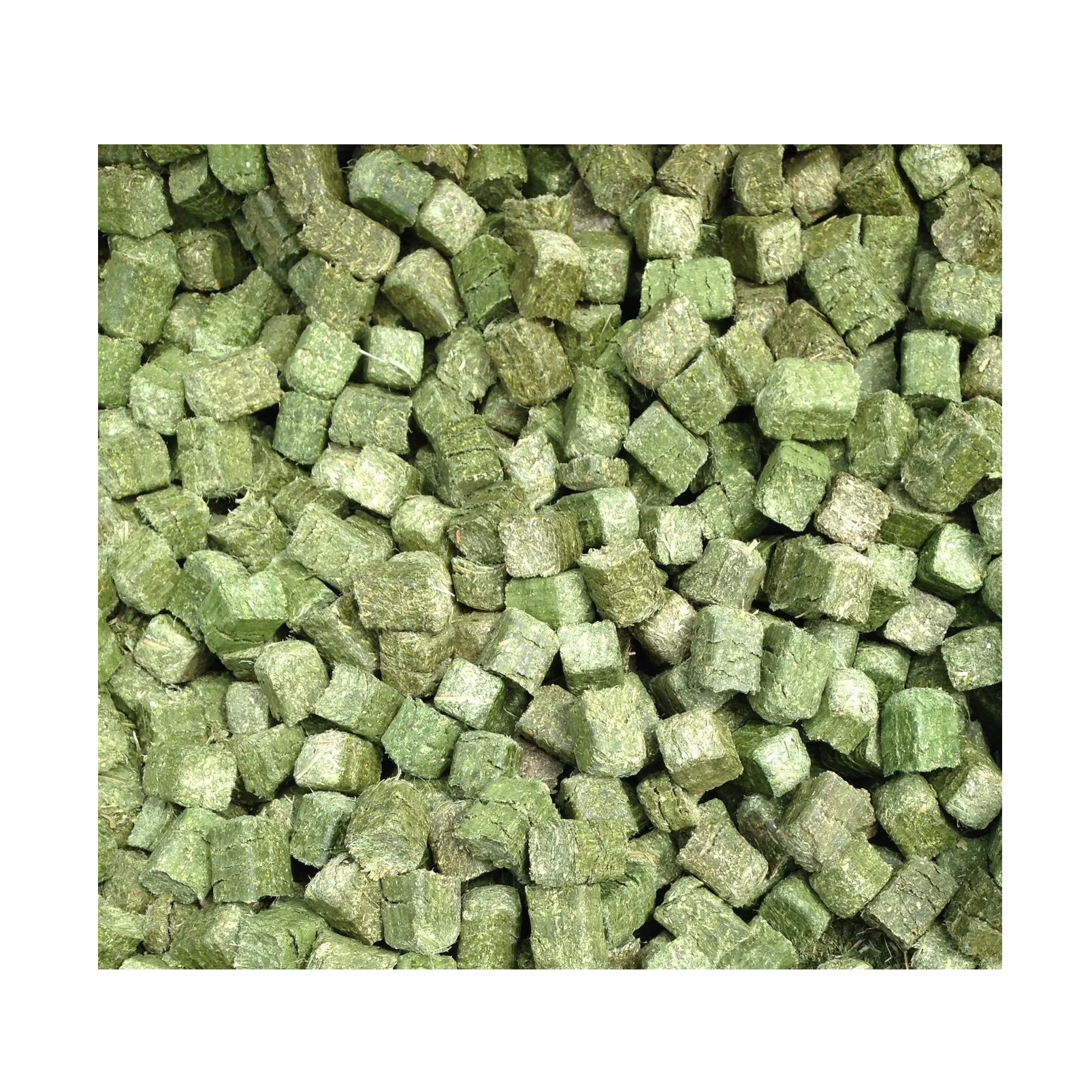 Alfalfa Pellet Hay Good Prices Top Grade Alfalfa Pellet Hay Alfalfa Pellet For Animal Feed