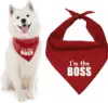Diseños 3