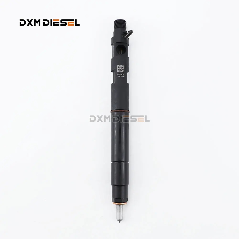 DXM Original and new EMBR00101D Injector 1100100-ED01 Auto Fuel Diesel Injectors Common Rail injector 28231014 and 1100100ED01 factory