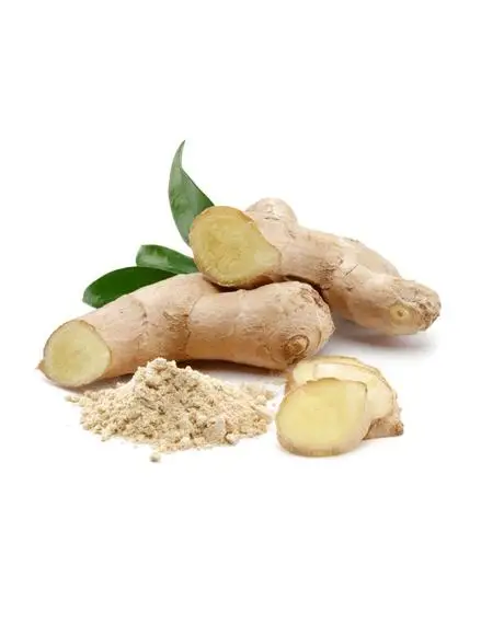 Премиум свежий имбирь высокого качества Тайский овощ из тайского в