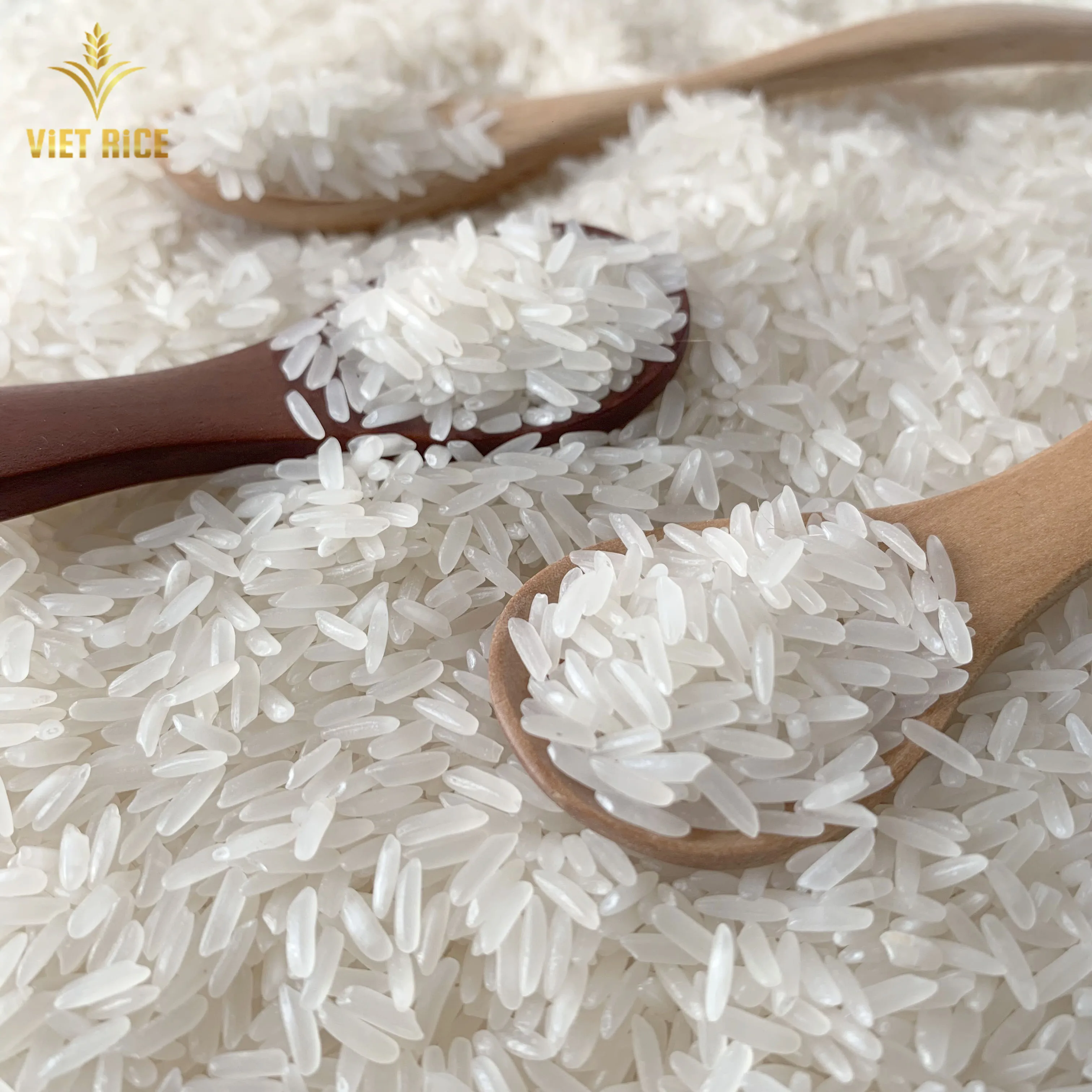 Wholesale Vietnam Rice Exporter Specialty Jasmine Rice Broken 5 With