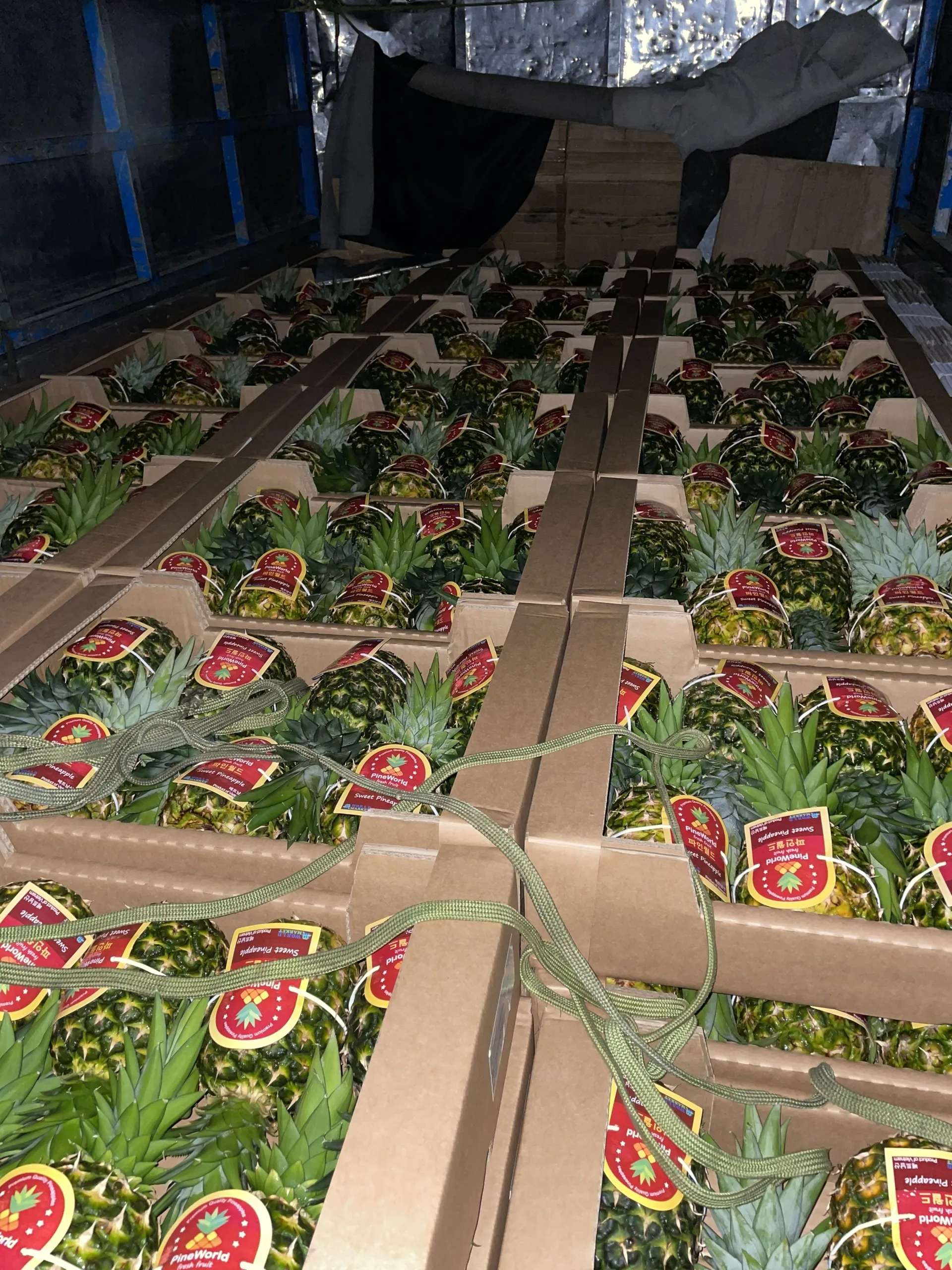 Wholesale Fresh Mild Sweet Md2 Pineapples With 90 Days Up Shelf Life