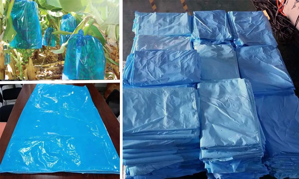 Banana Tree Protective Bags Eco-friendly Banana bunch Bags Biodegradable Plant protection Bags