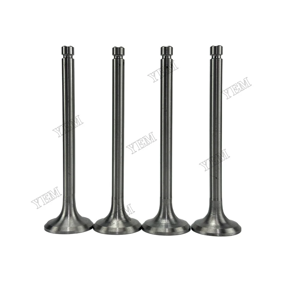 Exhaust Valve Fit for Laidong 4L22B Engine 2