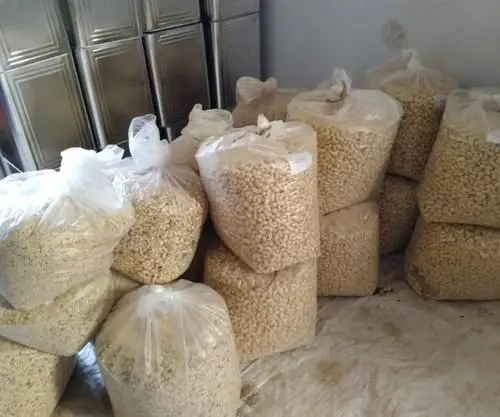 Organic Cashew Nuts/ Unshelled Cashew ,salted Cashew Kernel for international Export