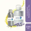 Clear, yellow and easy flowing transparent liquid