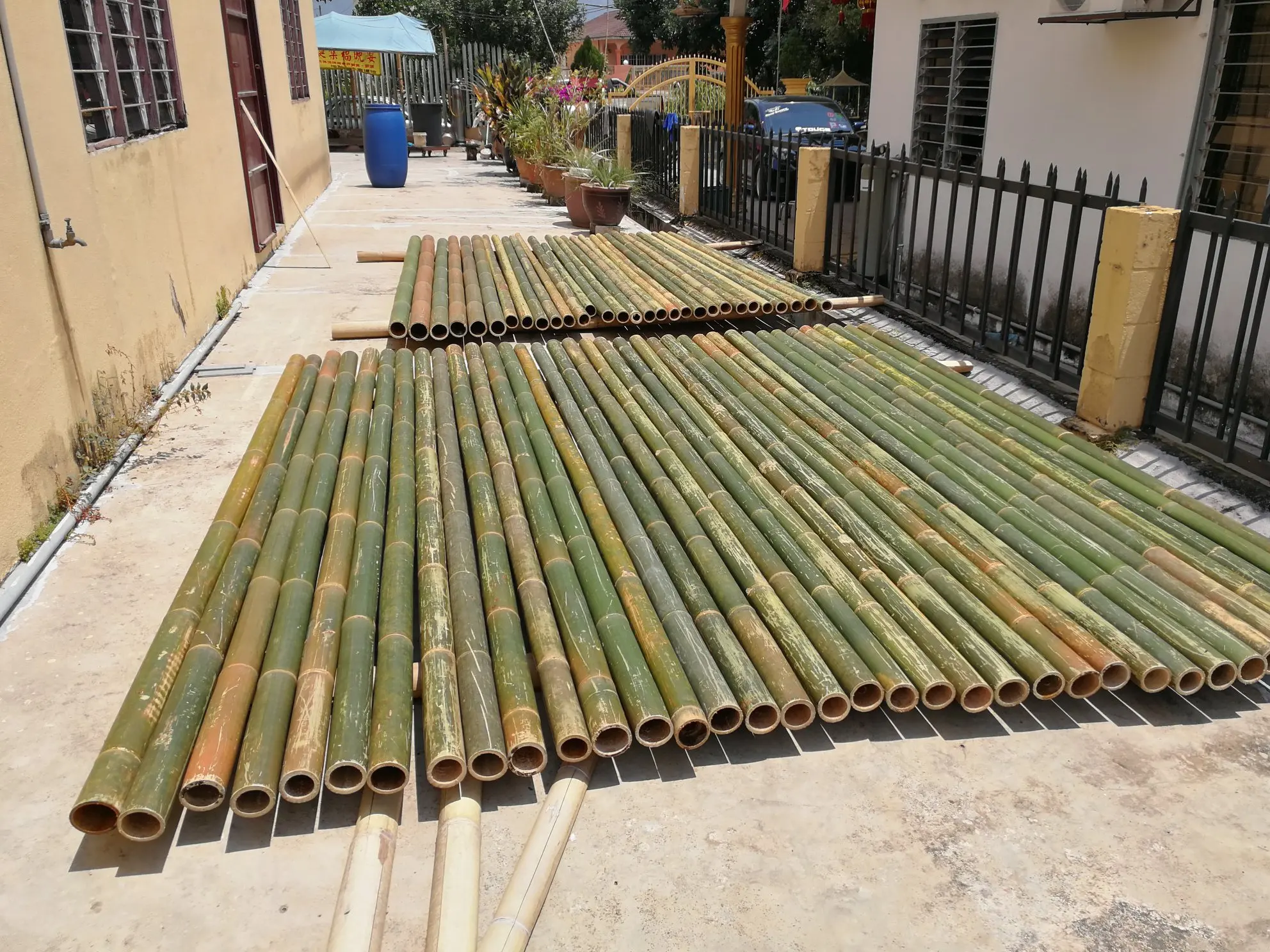 Construction Grade Bamboo Pole Cheap Price Low Tax Buy Bamboo Pole
