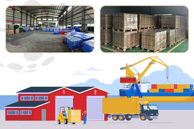 Wholesale Price Outstanding Quality 9gx100 Pack Quickwhip Professional