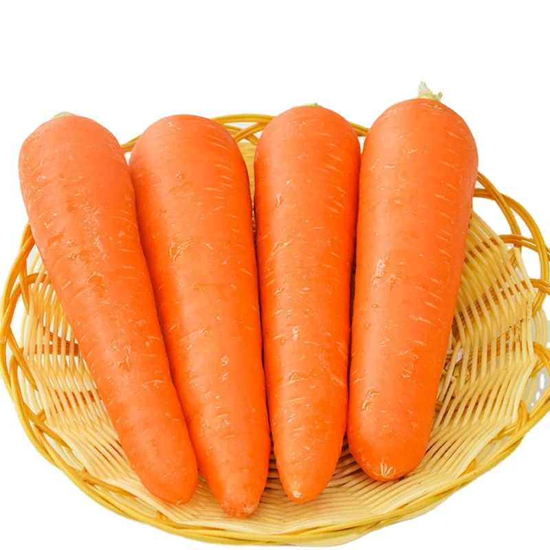 Premium Quality Fresh Carrots New Season Buy Fresh