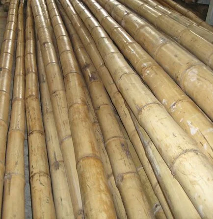 Top Best Seller Stick Straight Bamboo For Garden Plant Customized ...