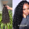 Burmese Curly