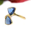 Tanzanite Pierre