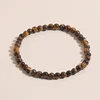 RZ231009-1tiger eye