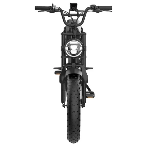YAMALI FXH-006 Electric Bike 1000W 48v 20AH Rear Hub Motor 9 Speed Aluminum Frame Integrated 60km Range Lithium Battery Black