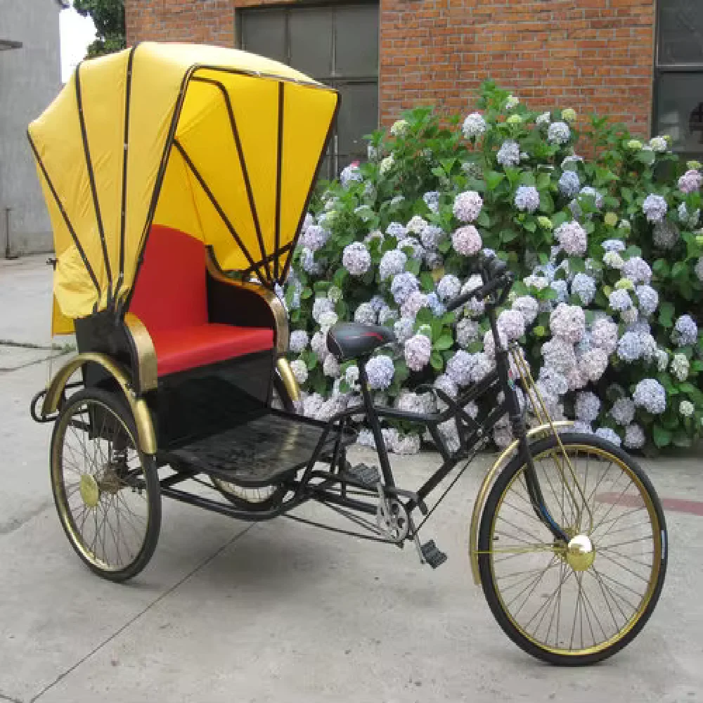 旅游用豪华人力钢架开式车身36v人力车客运三轮车| Alibaba.com